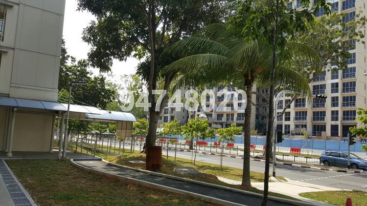 Blk 479 Pasir Ris Drive 4 (Pasir Ris), HDB 4 Rooms #113784832